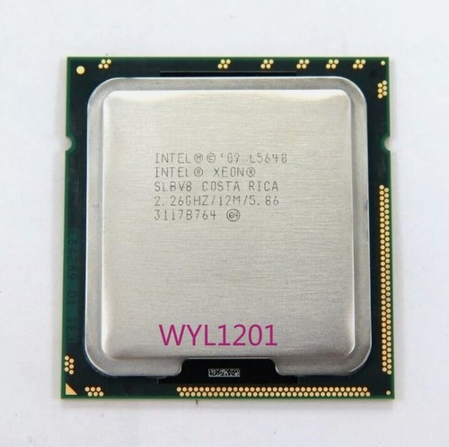 Processore intel xeon l5640 - intel,